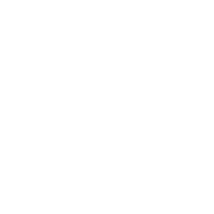 audi_logo_platinium_cars